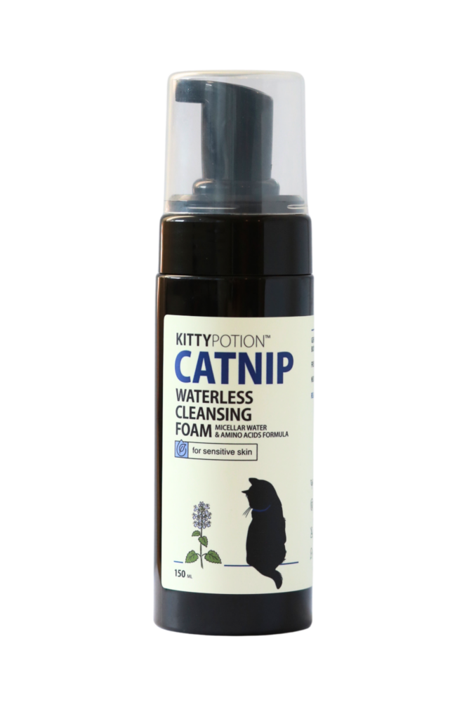 catnip-oatmeal-conditioner