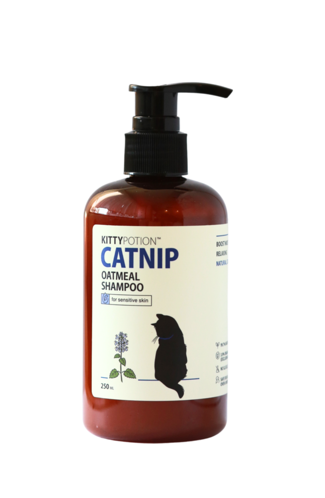 catnip-oatmeal-shampoo