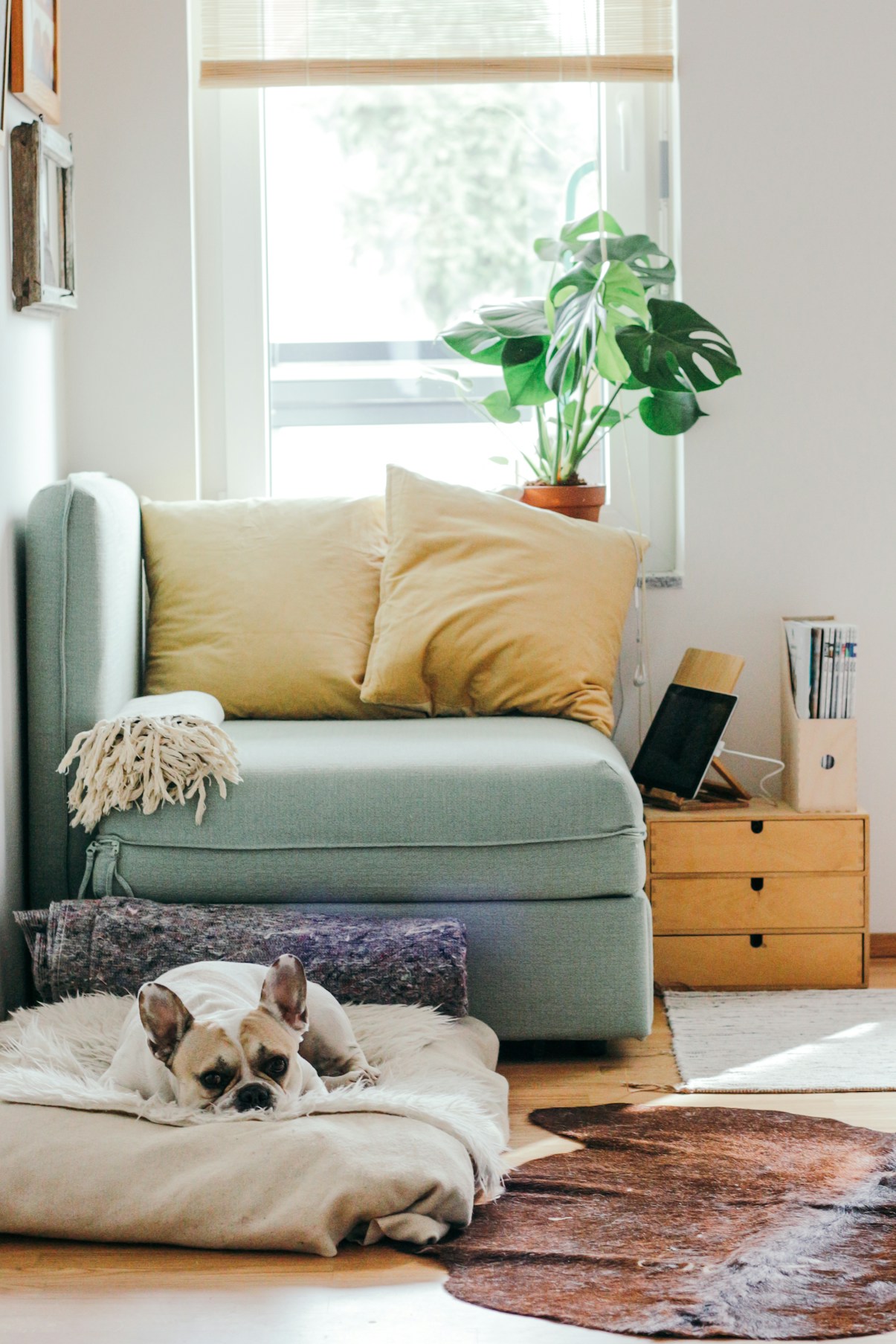 Home Products
